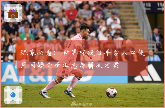 玩家必看：世界杯投注平台入口使用问题全面汇总与解决方案