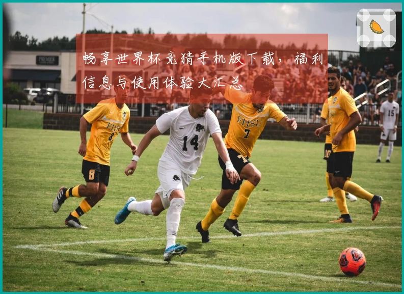 畅享世界杯竞猜手机版下载，福利信息与使用体验大汇总