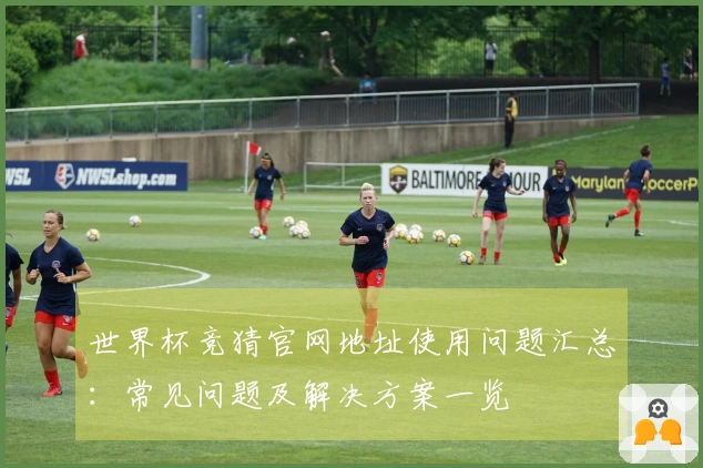 世界杯竞猜官网地址使用问题汇总:常见问题及解决方案一览