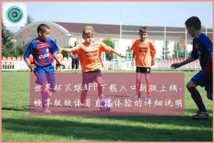 世界杯买球APP下载入口新版上线，畅享极致体育直播体验的详细说明