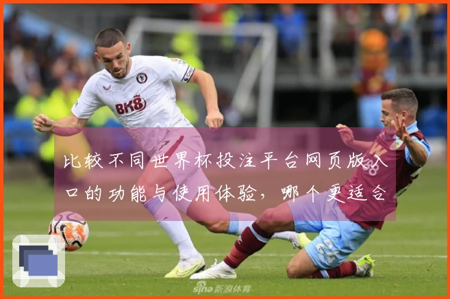 比较不同世界杯投注平台网页版入口的功能与使用体验，哪个更适合你的需求？