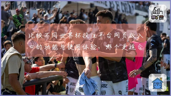 比较不同世界杯投注平台网页版入口的功能与使用体验，哪个更适合你的需求？