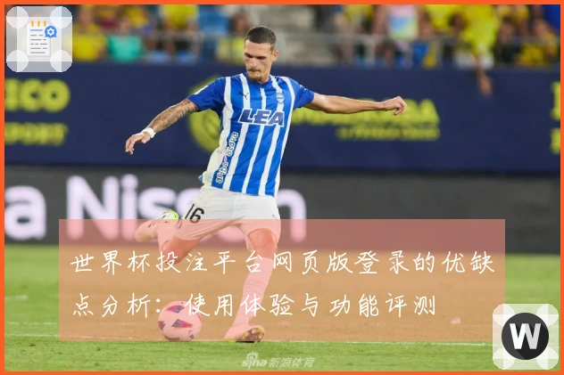 世界杯投注平台网页版登录的优缺点分析：使用体验与功能评测
